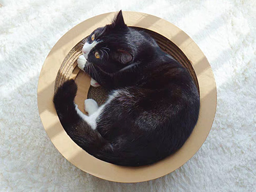 cat-004碗型貓抓板